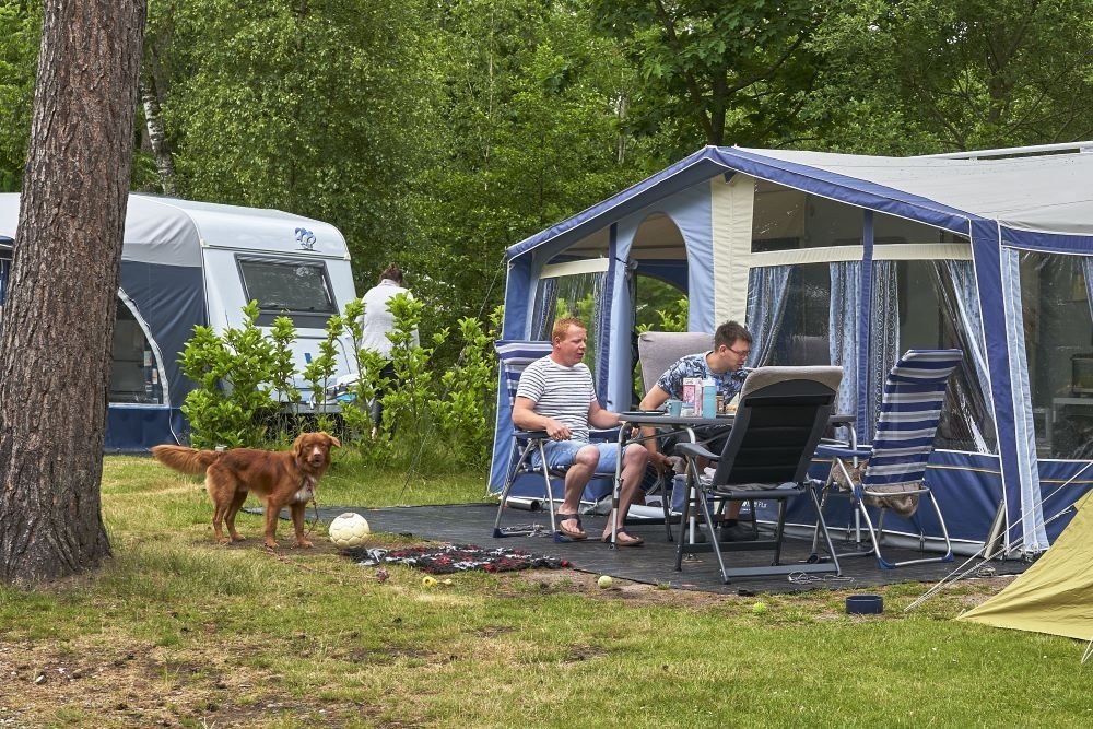 Urlaub mit Hund in der Veluwe